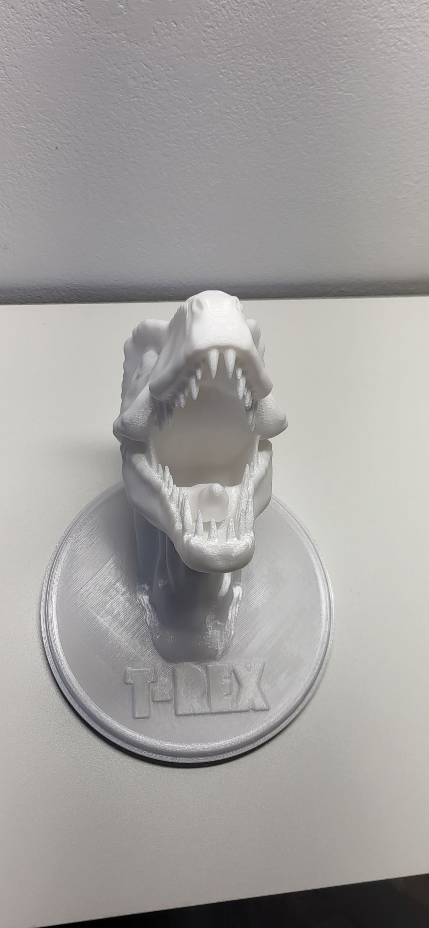 T rex hoofd voor aan de muur.