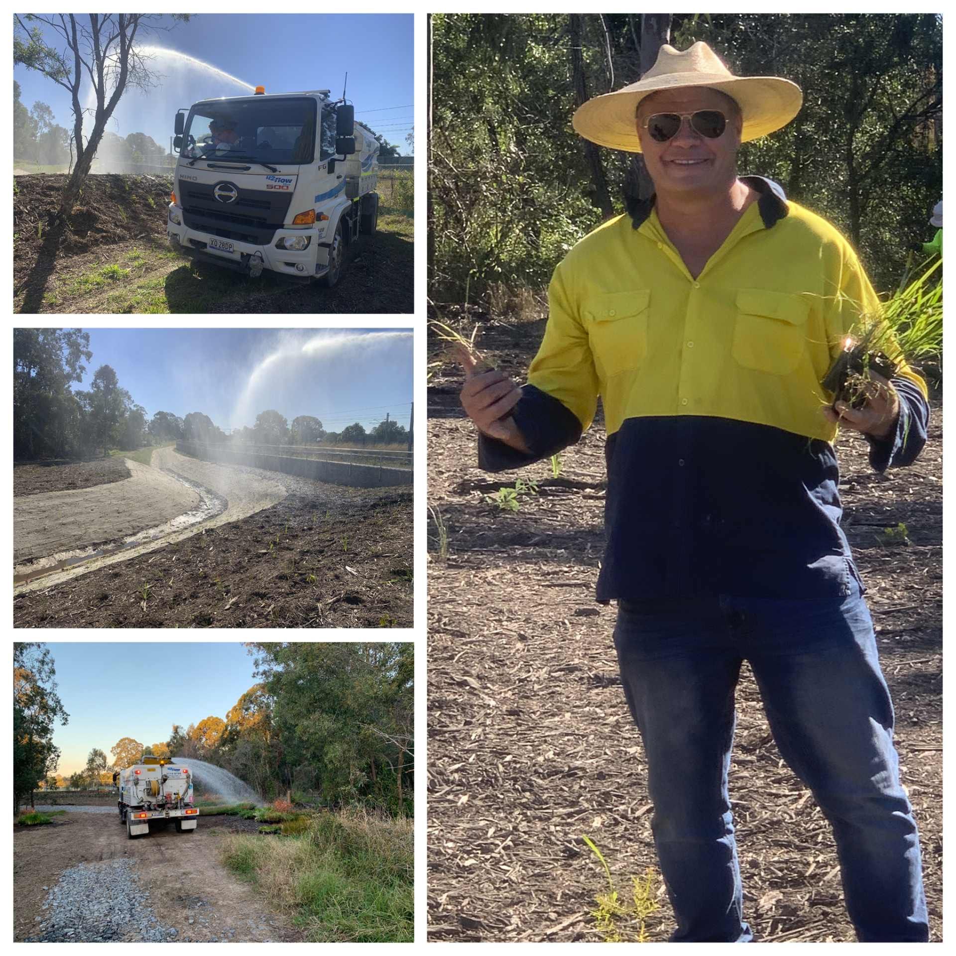 Carseldine Village Sanctuary Revegetation Project Habitat Environment