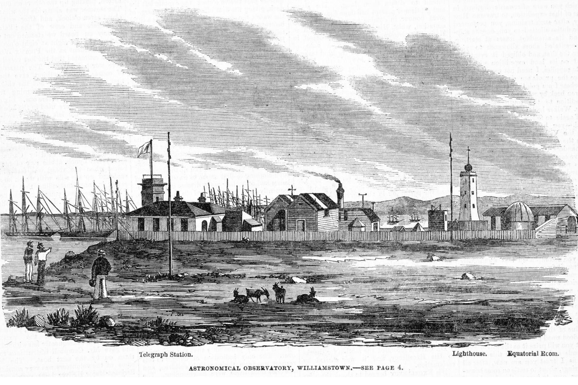 History presentation geology of Point Gellibrand