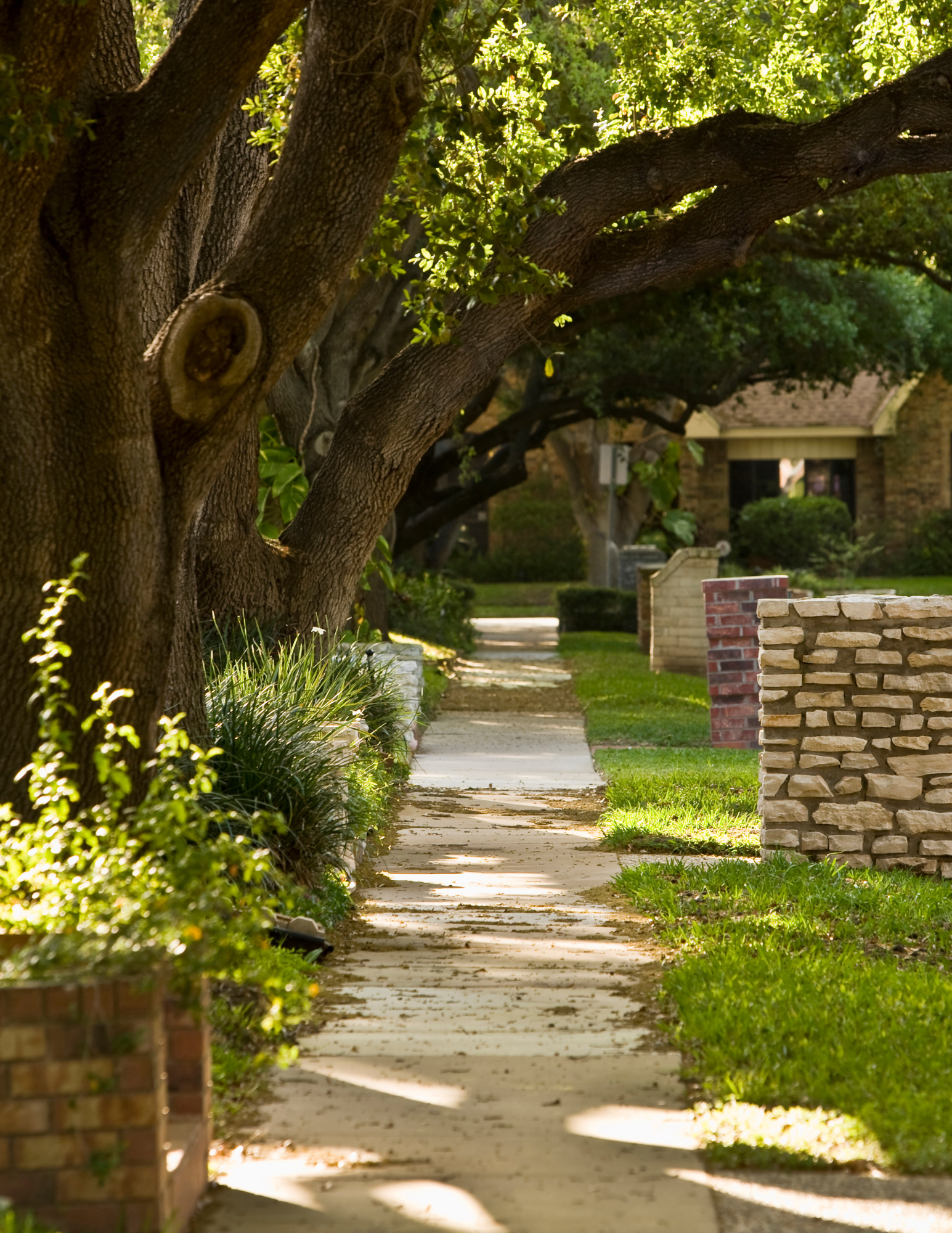 Concrete sidewalk and landscaping near home in Houston before cleaning