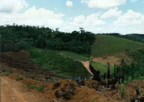 Anbaugebiet ONCA Projekt Brasilien