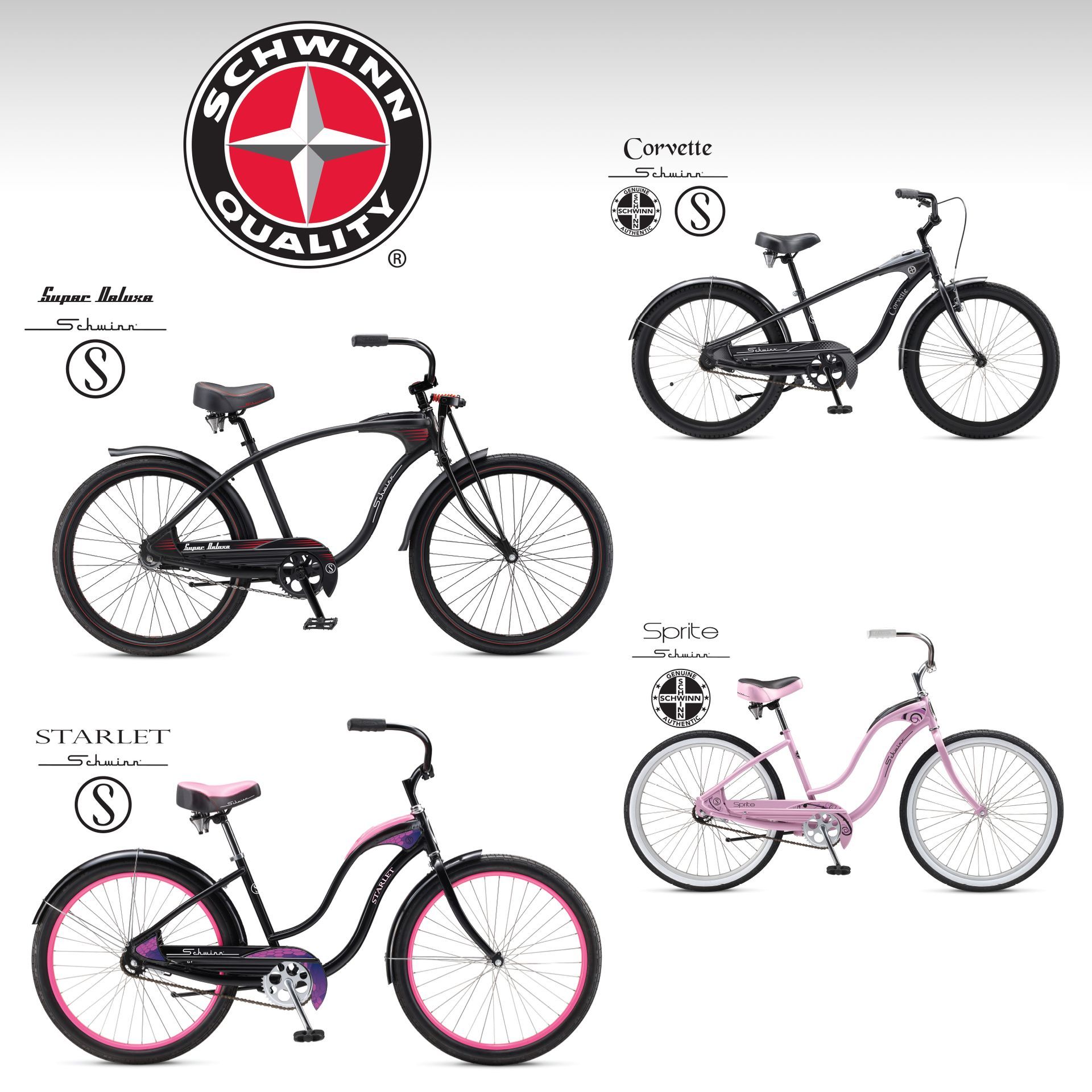 Schwinn Bicycles Branding Design by D2 Design Lab