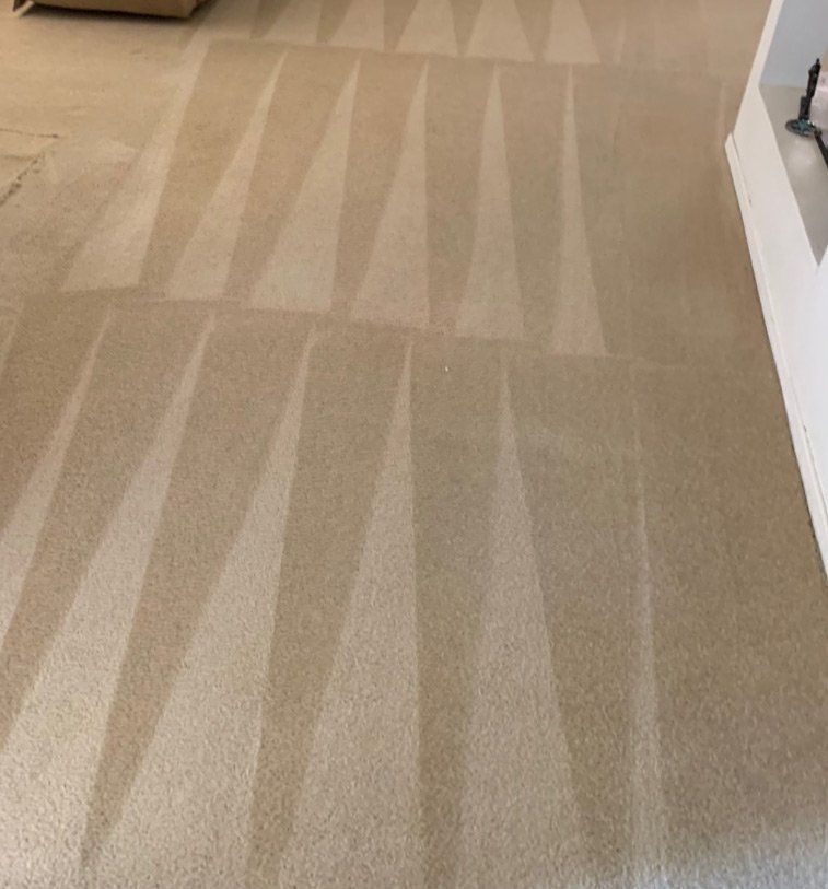 Carpet Cleaning
