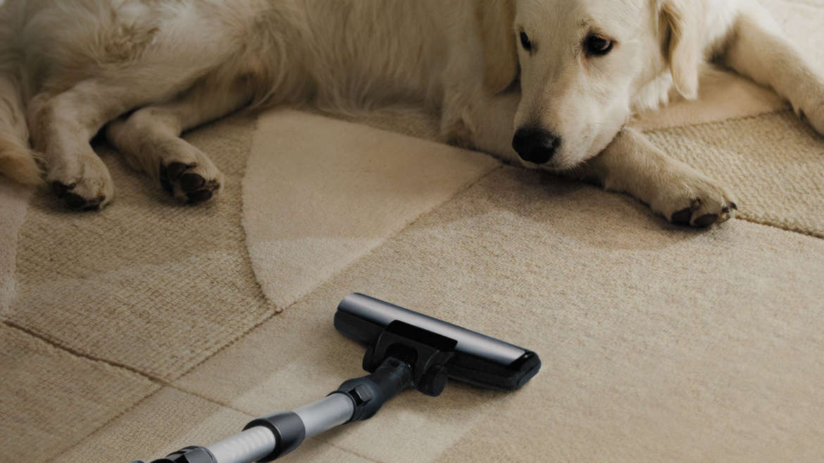 Air Duct Cleaning - Steam Smart Pro