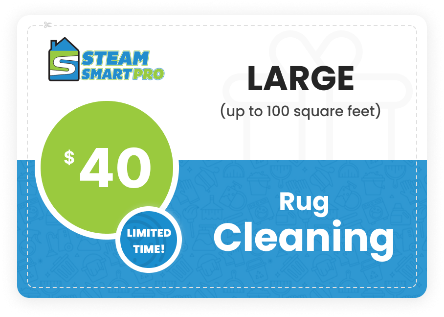 $79 Carpet Cleaning