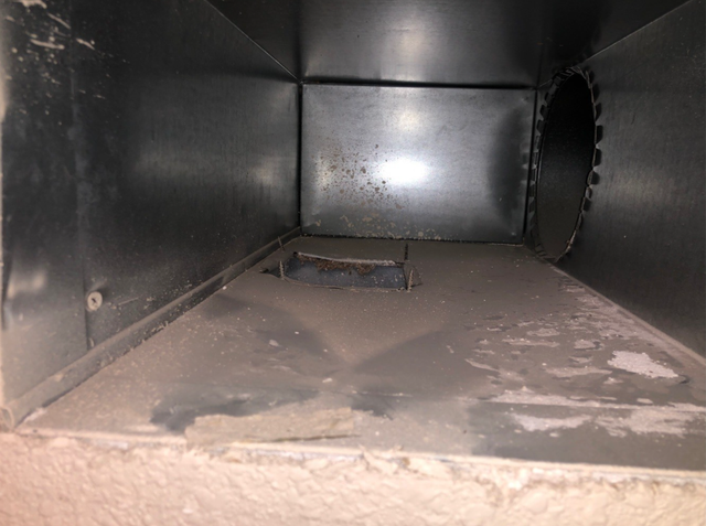 Steam Smart Pro Carpet Duct & Tile Cleaning photo 5