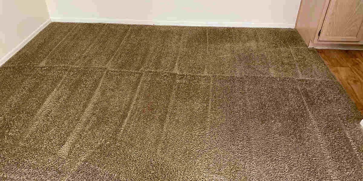 Carpet Wicking: Definition, Causes, and Prevention Tips