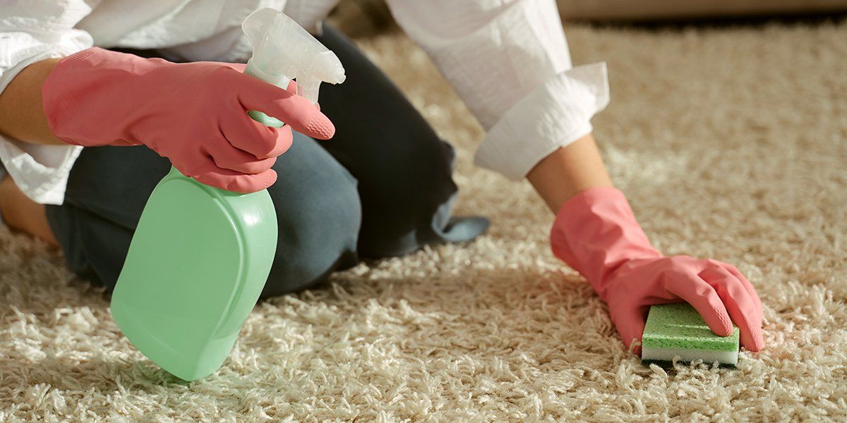 Carpet Cleaning Services in Foothills