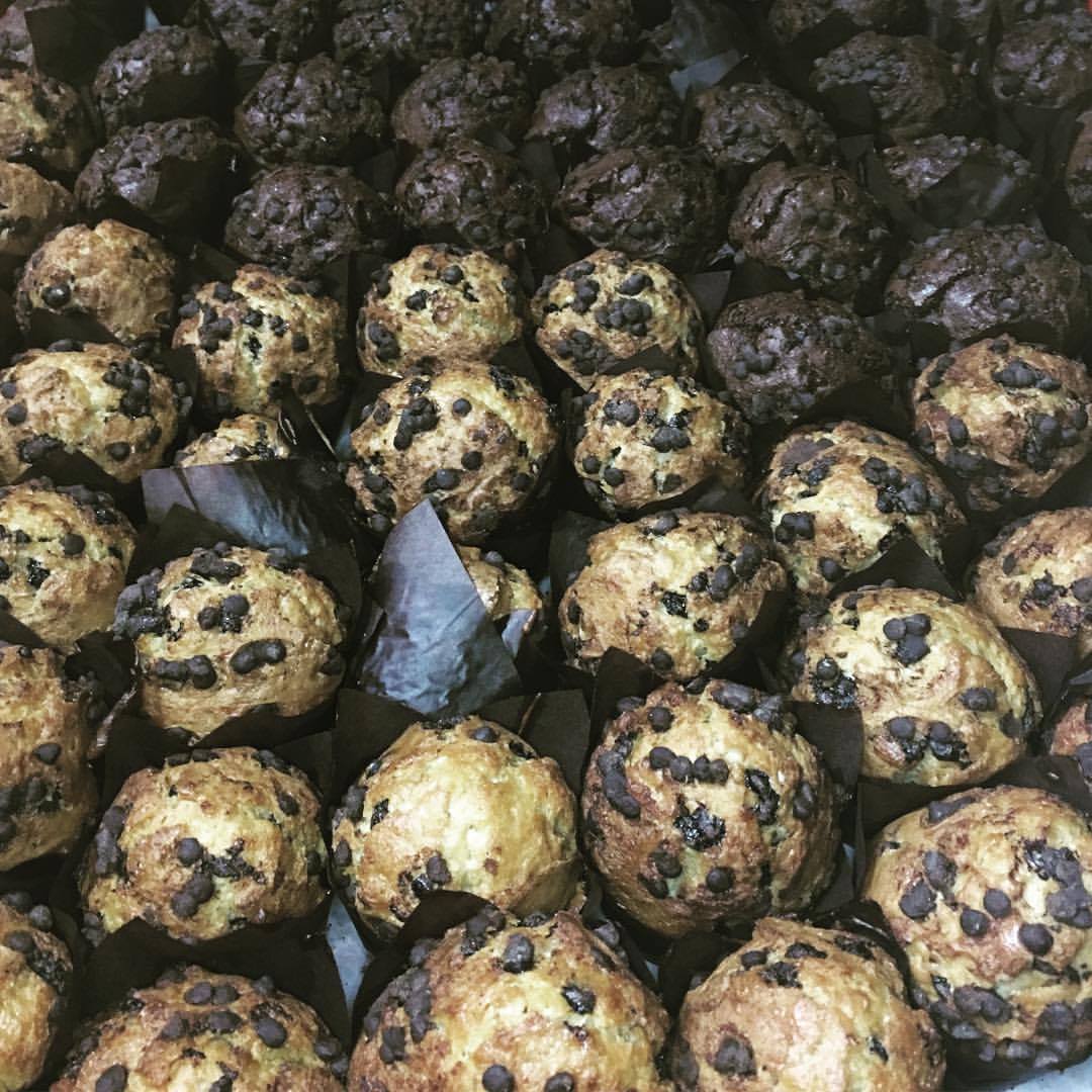 Choc Chip Muffins