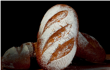 Organic Spelt Sourdough