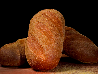 Crusty Italian Sourdough