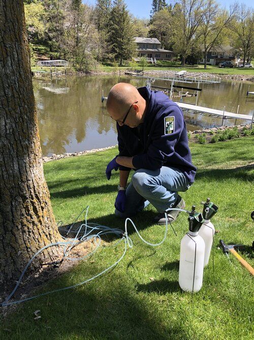Man in blue jacket kneeling near tree, setting up equipment on grassy lakeshore.