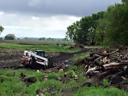 A Bobcat skid-steer loader clears brush and logs along a muddy pathway, overcast sky in background.