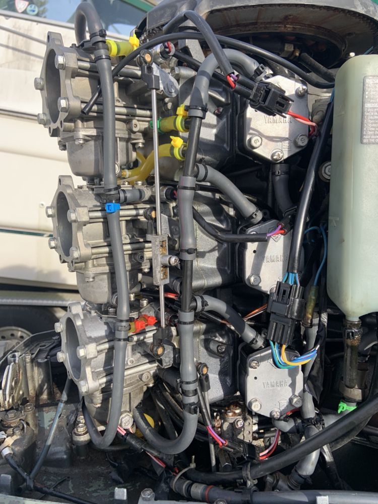 Boat engine with multiple carburetors, hoses, and wiring, in a marine setting.