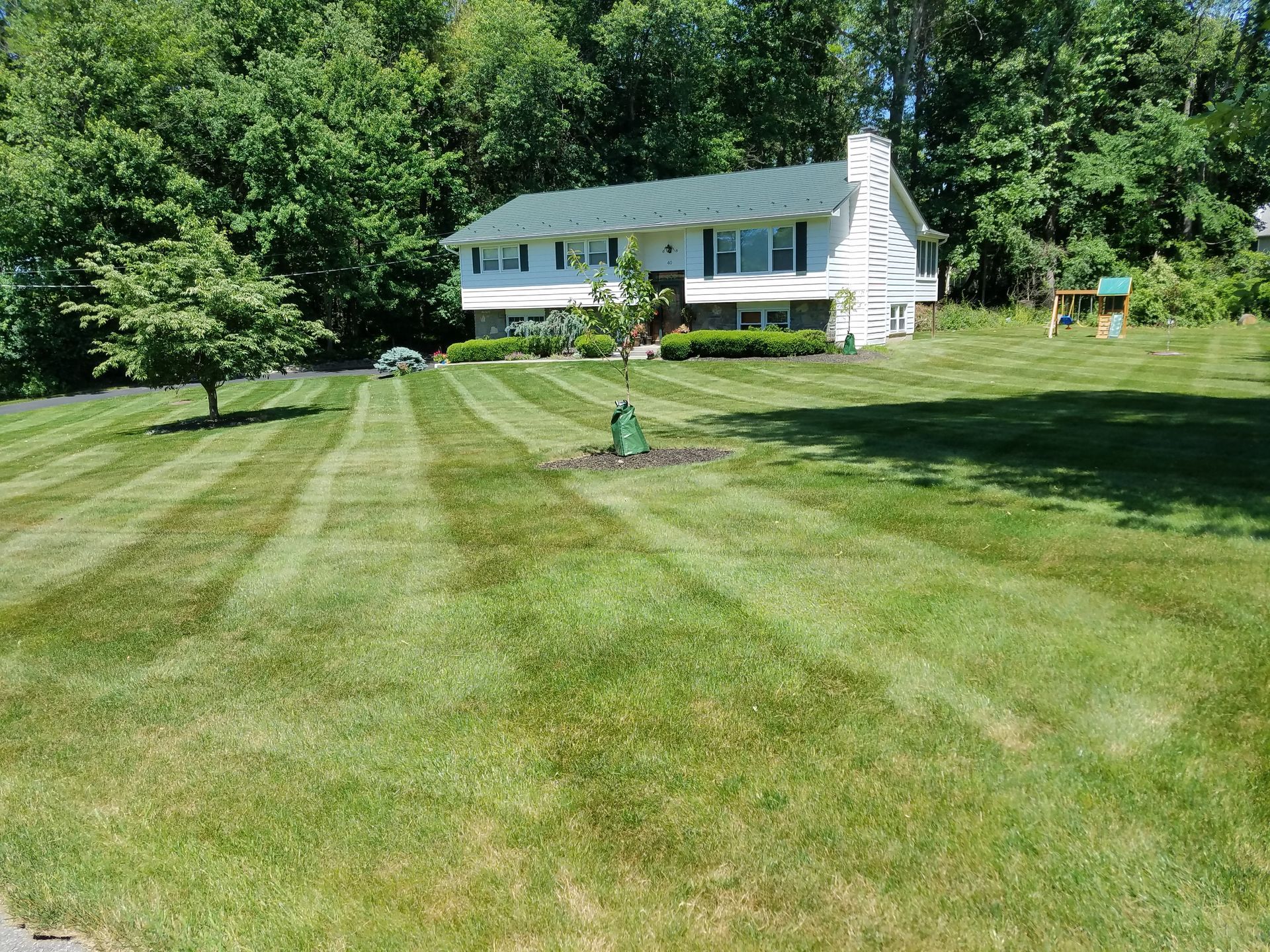 A house with a freshly mowed lawn, surrounded by trees under a bright blue sky.