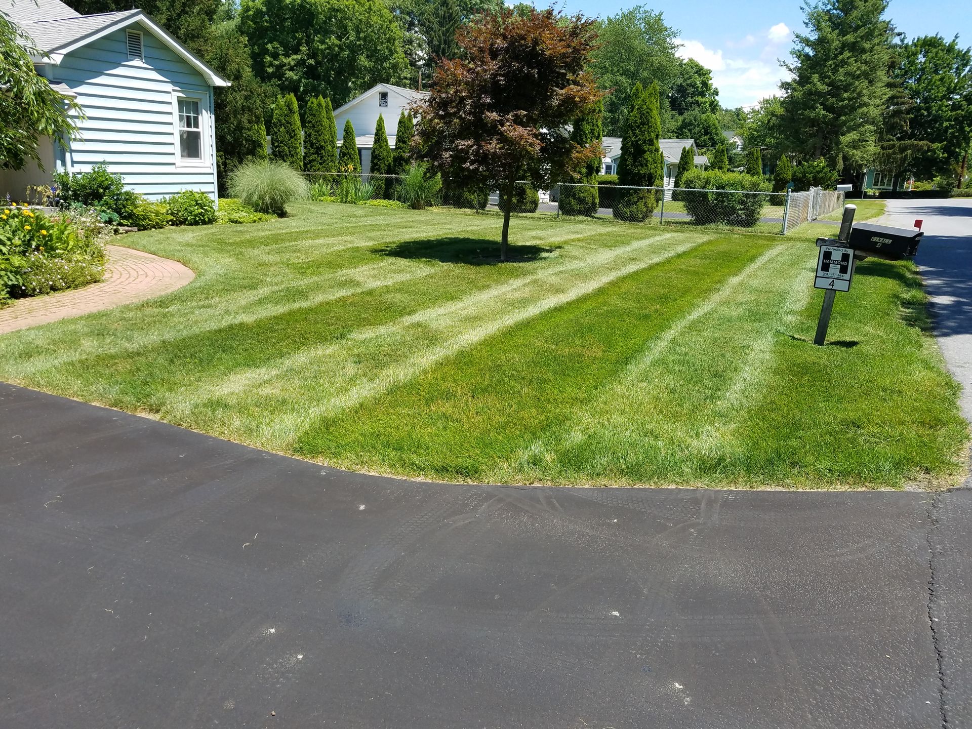 Lawn with stripes mowed in a suburban yard, a small tree, houses in the background. Lawn with stripes mowed in a suburban yard, a small tree, houses in the background.