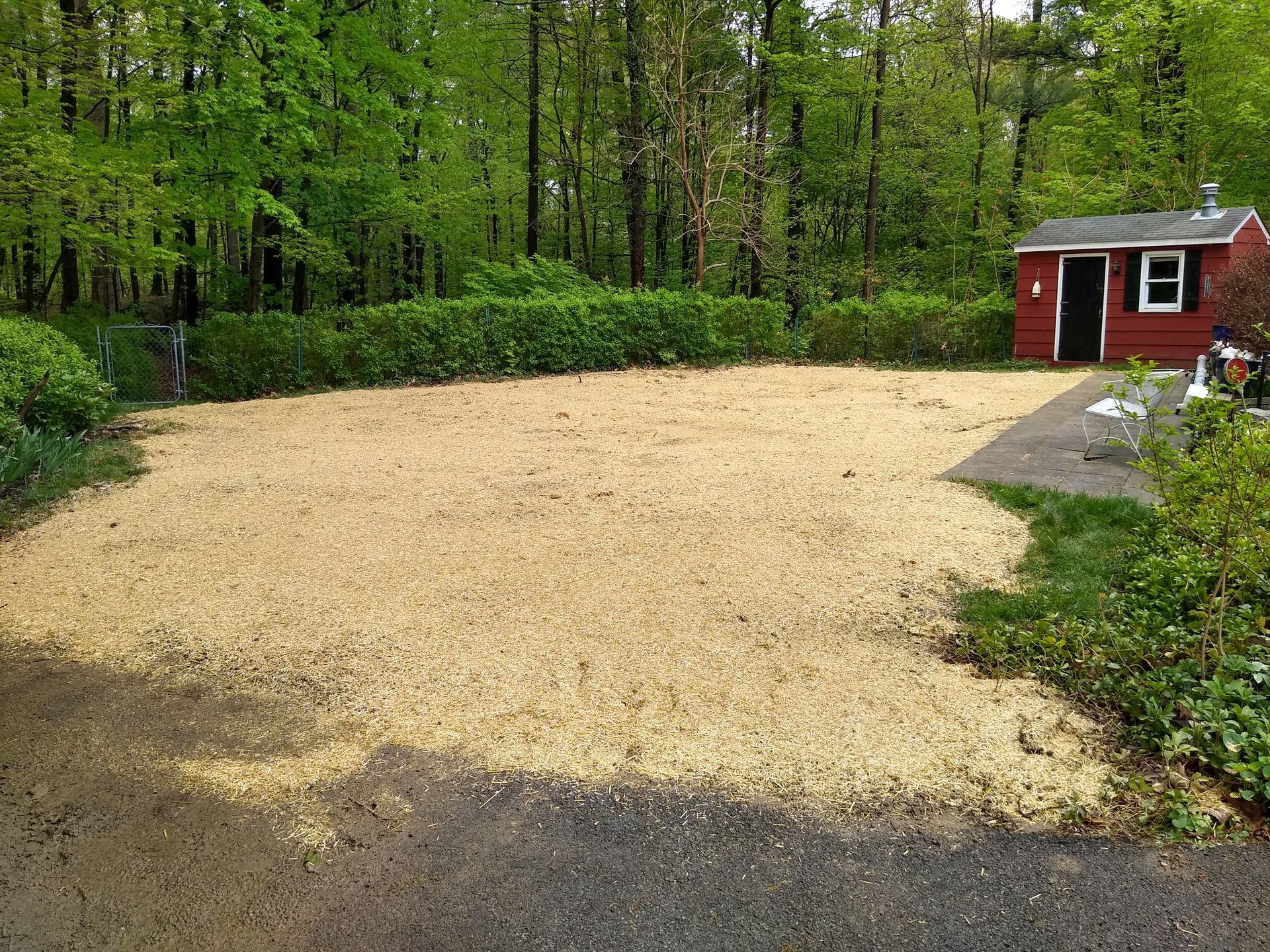 Bobcat excavator dumping soil into a trench on a sunny day.