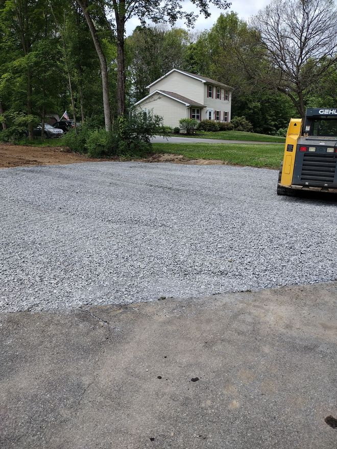 A brown, overgrown beaver dam in a sparse forest with leafless trees and brown grass.