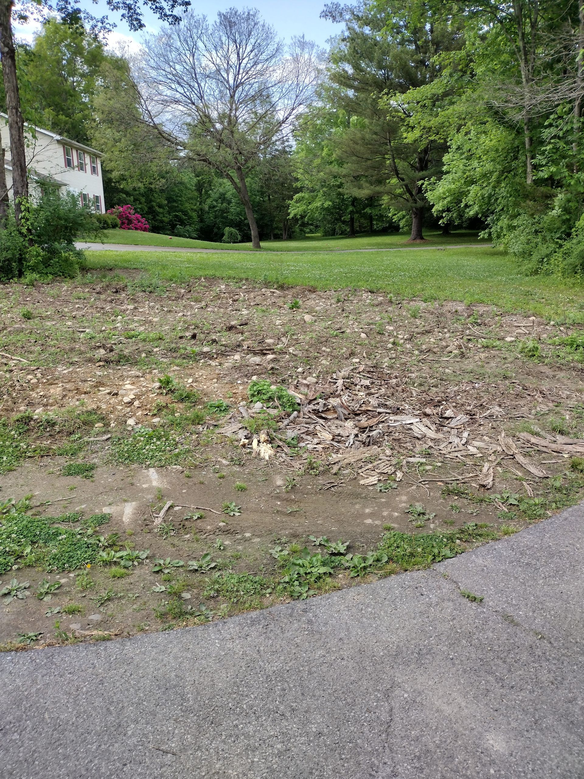 Cleared area covered in leaves, grass, and dirt, adjacent to a paved path and bordered by trees and a building. Cleared area covered in leaves, grass, and dirt, adjacent to a paved path and bordered by trees and a building.