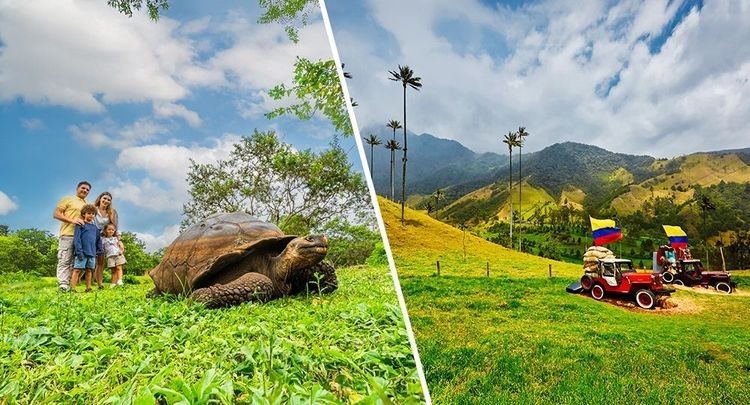 South America Touring