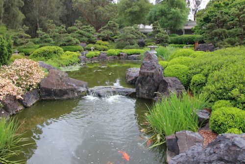 A Pond Surrounded by Rocks and Trees in A Garden — DecoGlaze in Central Coast, NSW