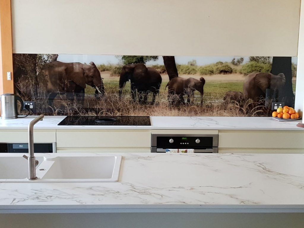 A Kitchen with A Picture of Elephants on The Wall Behind the Sink — DecoGlaze in Cardiff, NSW