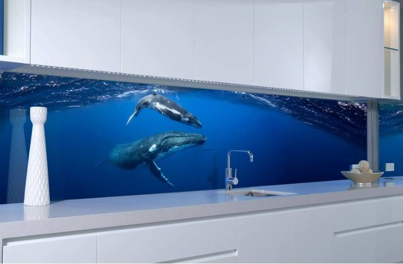 Two Humpback Whales Are Swimming in The Ocean in A Kitchen — DecoGlaze in Maitland, NSW