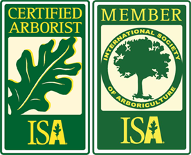 certified arborist