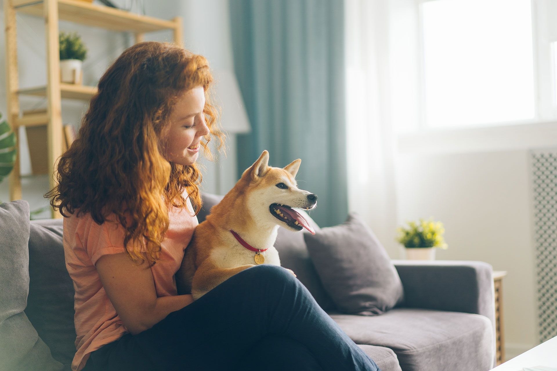 Pretty redhead woman is hugging cute doggy sitting on couch in apartment smiling enjoying beautiful day with beloved animal. People and pets concept