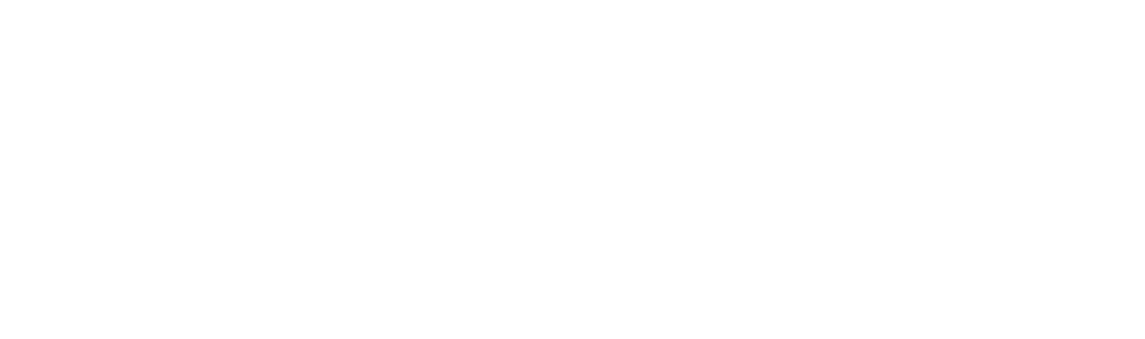 Footer-Logo