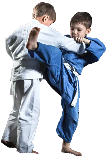 Two young boys are practicing judo on a white background.