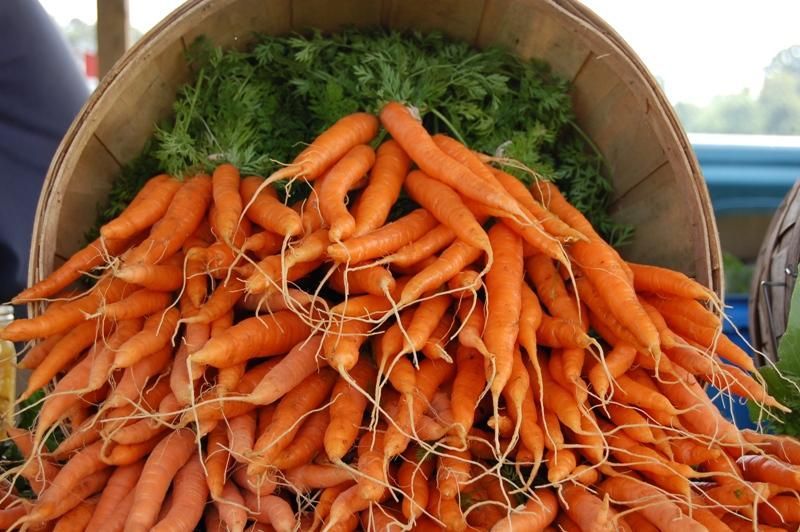 Carrots in a basket