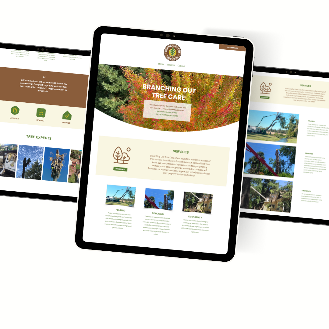 Website Design