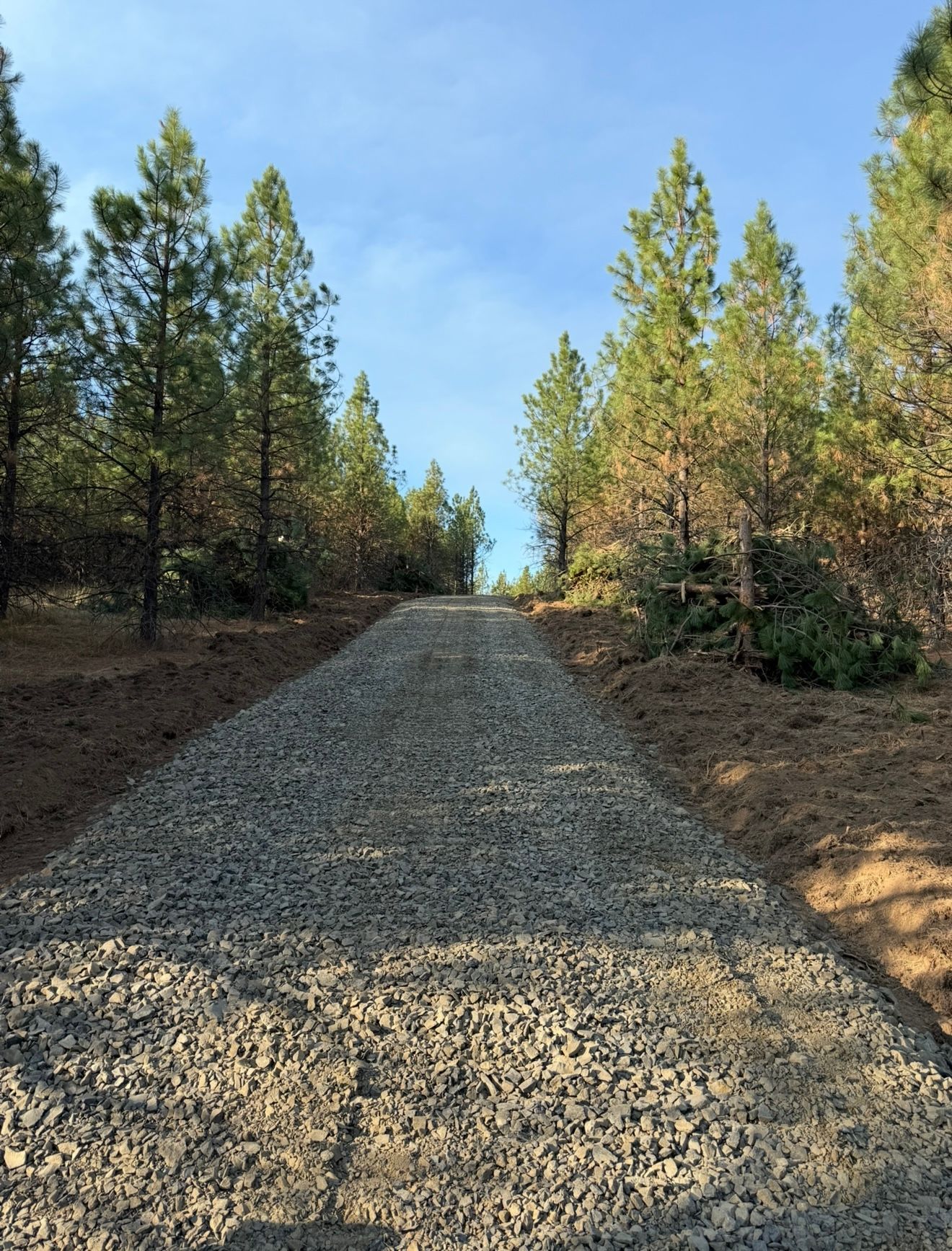 Chainsaw on a tree stump with a mountainous forest background.
