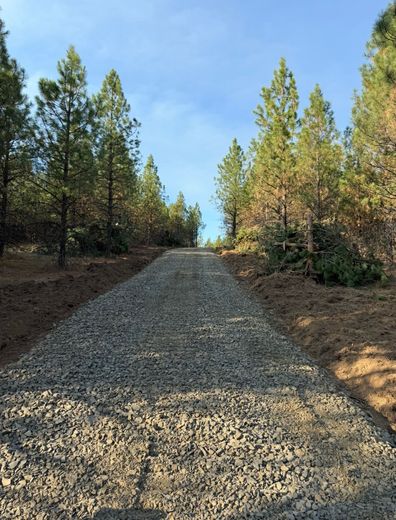 Chainsaw on a tree stump with a mountainous forest background.