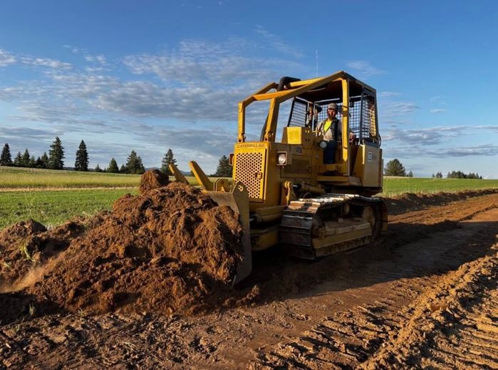 Chainsaw cutting a tree stump, with a forestry machine in the background, in a wooded area.