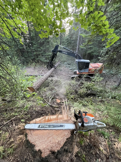 Chainsaw cutting a tree stump, with a forestry machine in the background, in a wooded area.