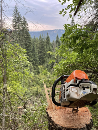 Chainsaw on a tree stump with a mountainous forest background.