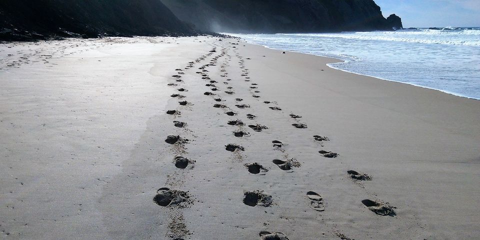 seashore with footprints