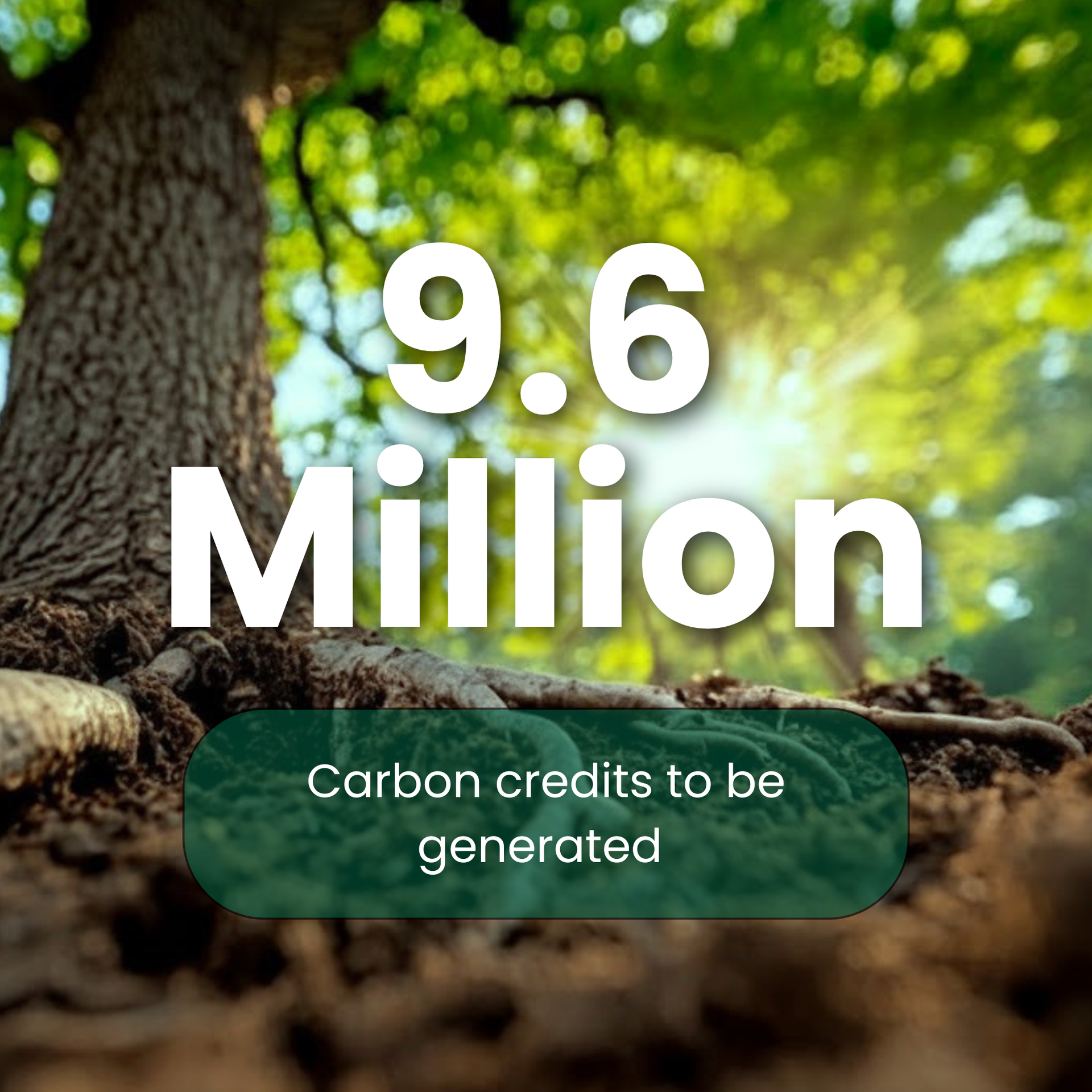 Project Caraga - 60 Million Verified Carbon Units to be generated