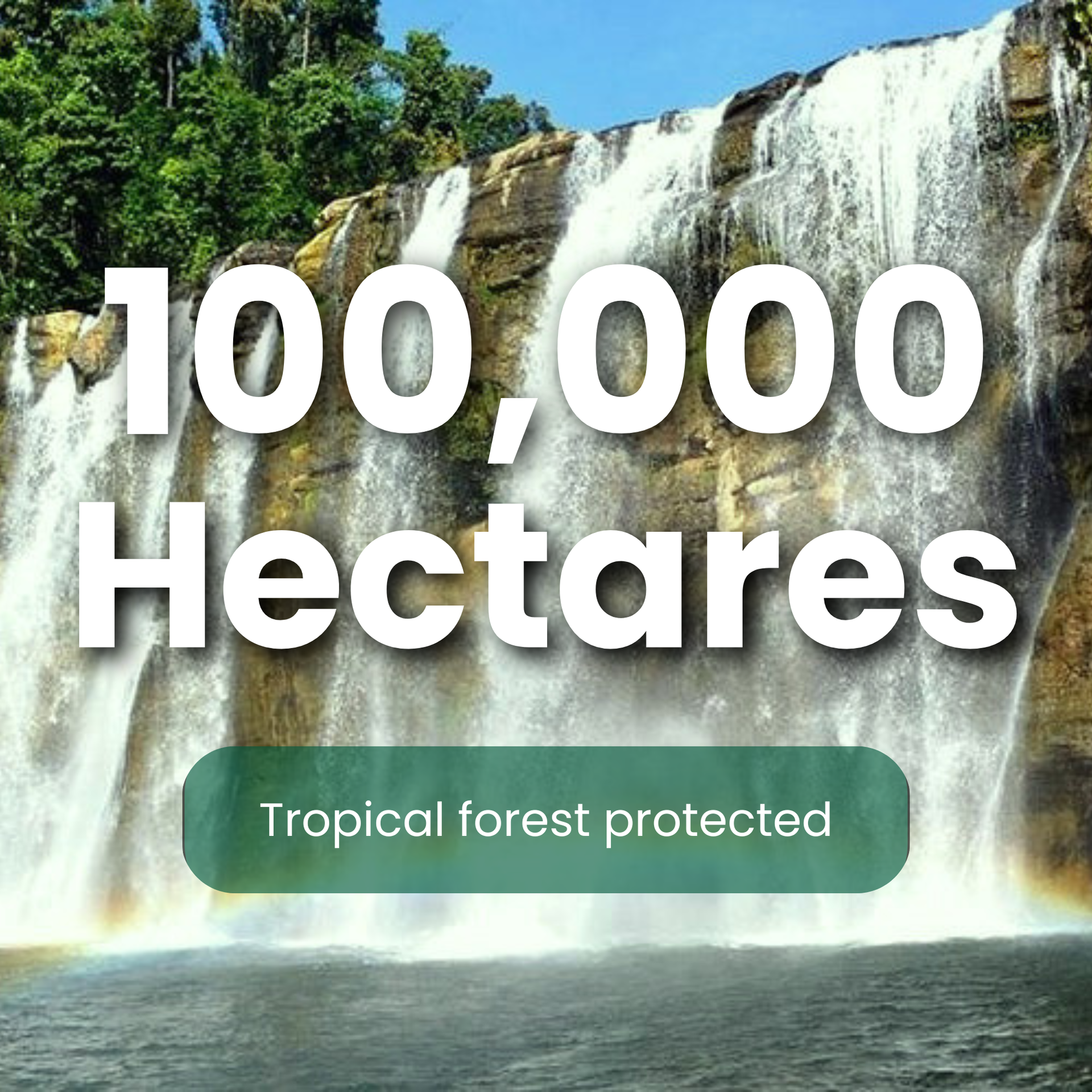 Tropical forest protected (100,000 hectares) due to Project Caraga