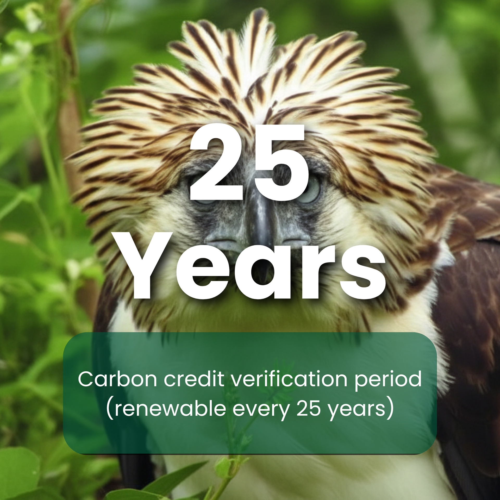 Project Caraga's Carbon Credit verification period (renewable every 25 years)
