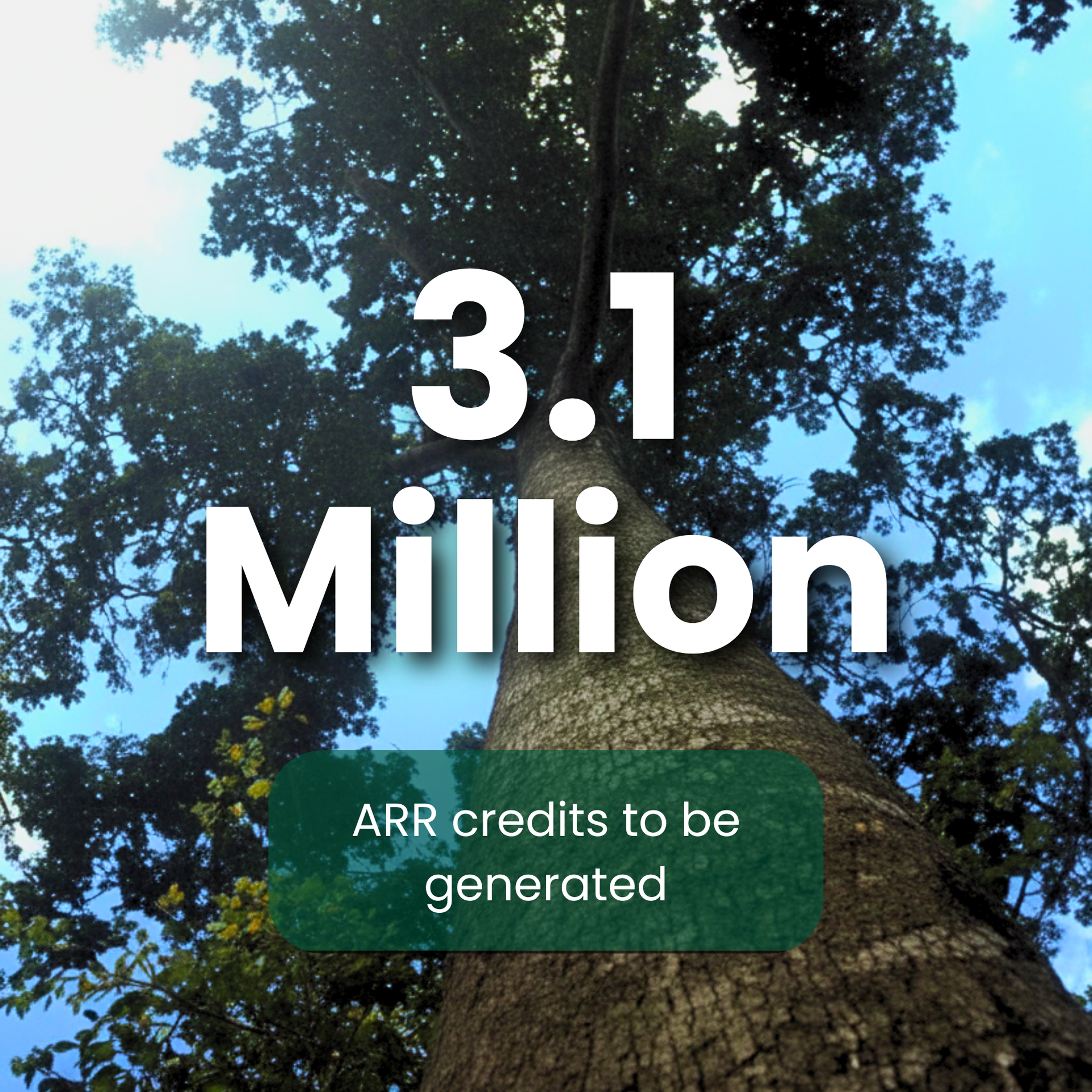 Project Caraga - 60 Million Verified Carbon Units to be generated