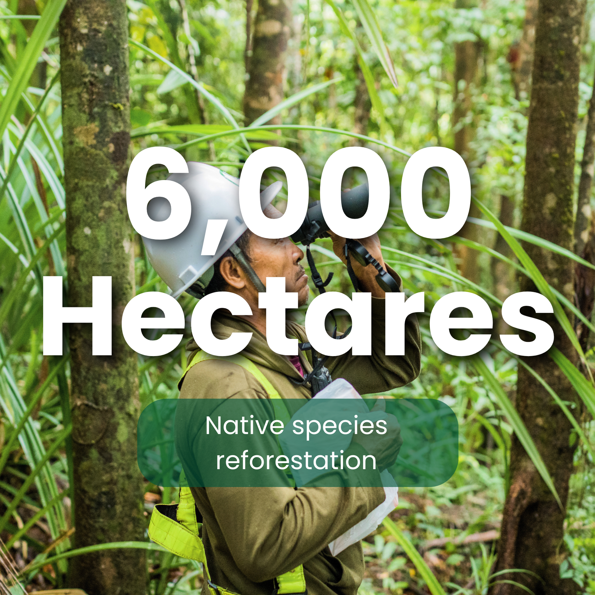 Project Caraga - 60 Million Verified Carbon Units to be generated