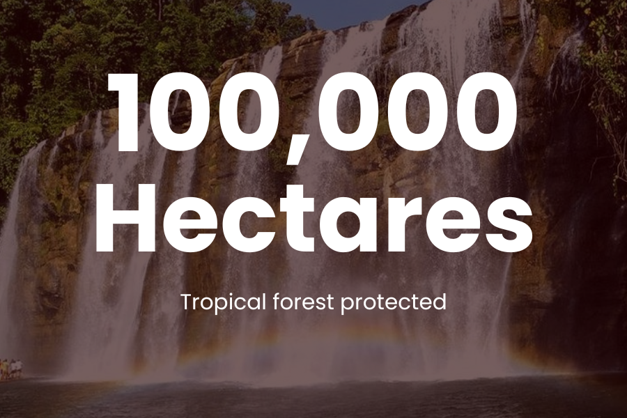 Tropical forest protected (200,000 hectares) due to Project Caraga