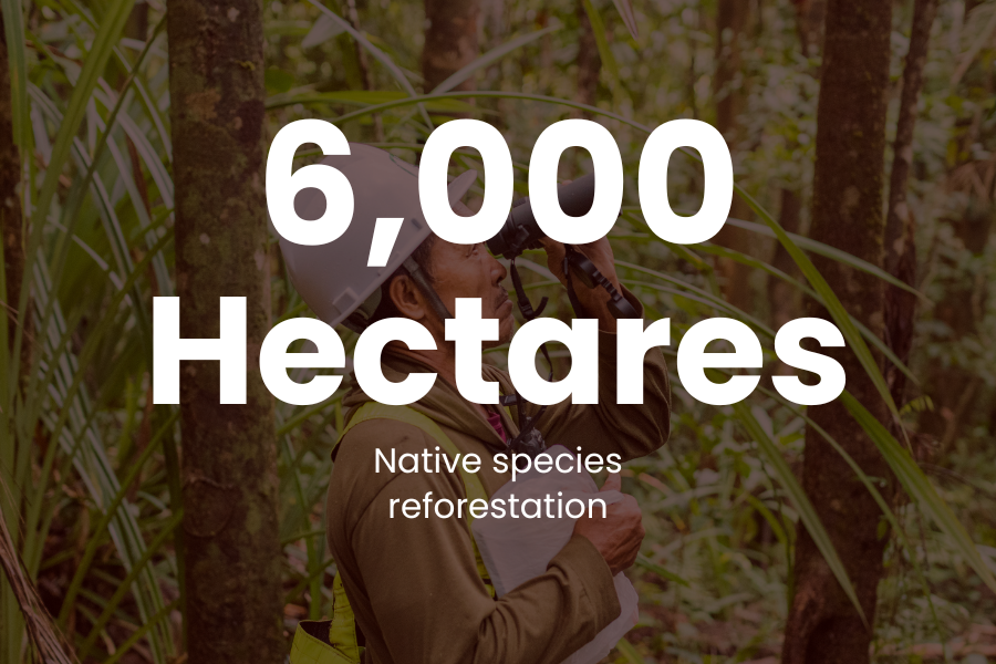 Project Caraga - 60 Million Verified Carbon Units to be generated