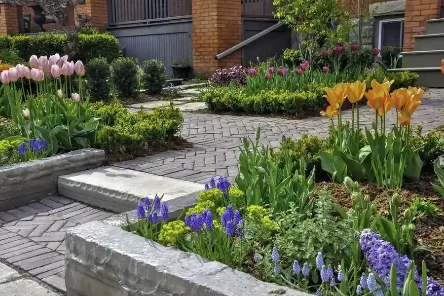 Stone garden path lined with colorful tulips and blooming flowers beside a brick house