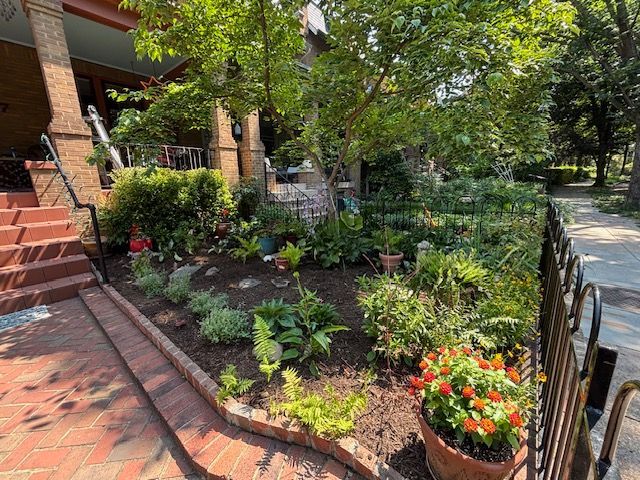 A garden bed with green shrubs, ferns, and orange flowers next to a brick porch and steps on a sunny day.