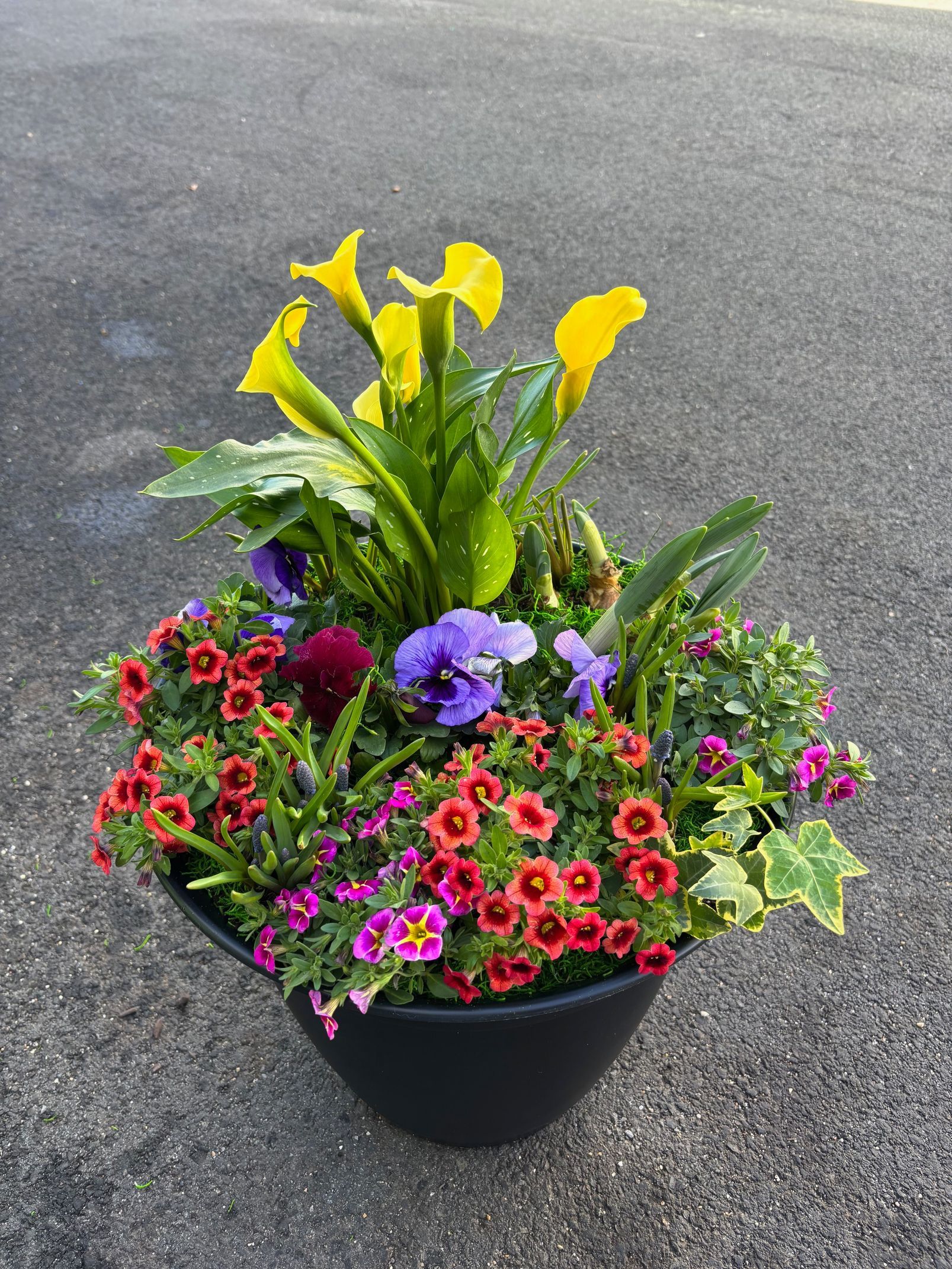 A black planter filled with vibrant yellow calla lilies, purple pansies, and small red and pink flowering plants.