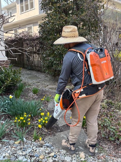 A person wearing a straw hat and a bright orange backpack blower clears debris from a garden with yellow flowers.